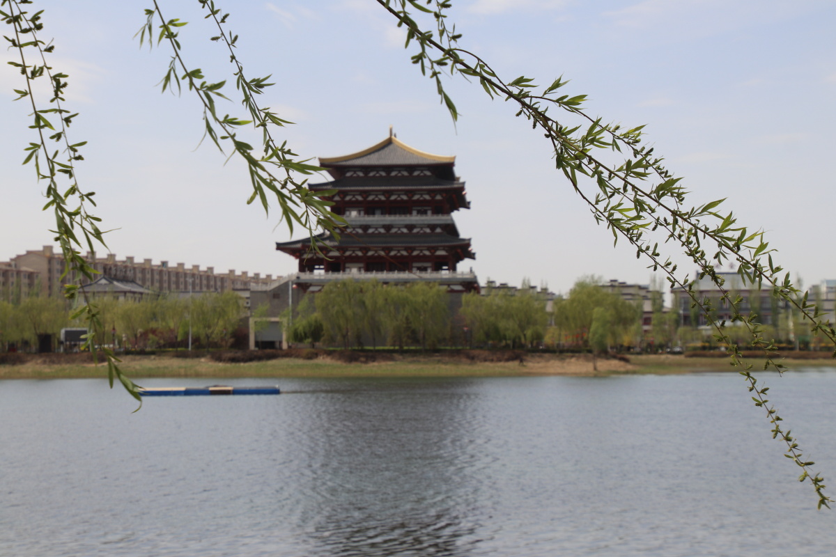 美丽的灵武西湖我为了拍夜景第二次去西湖终于拍到了美图