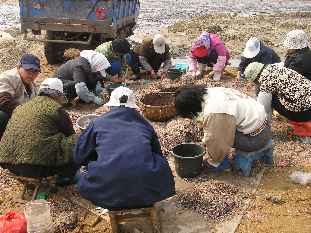 岚山渔港喜看渔民赶海归来各色鱼虾看的眼花缭乱真多呀丰收年