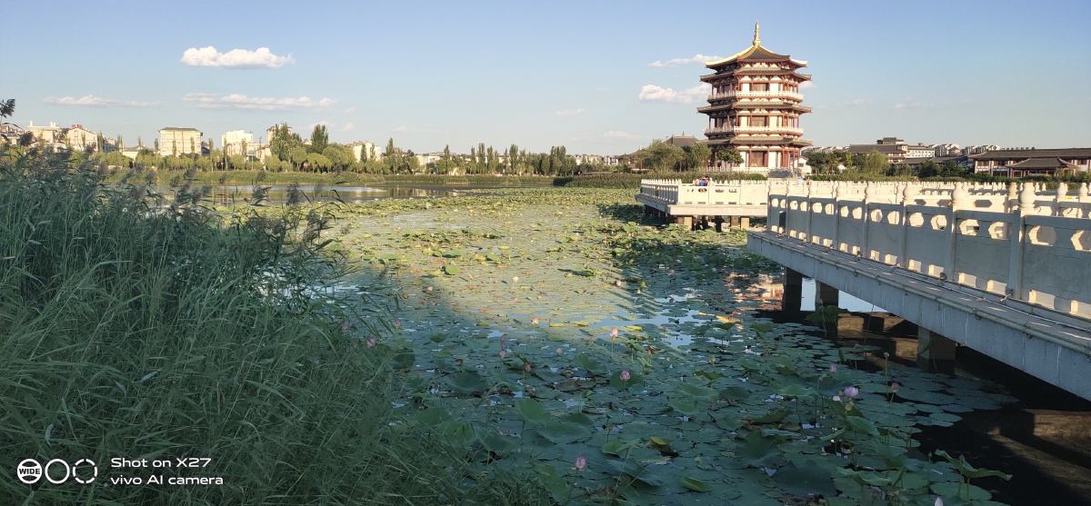 美丽的灵武西湖酷暑中太阳落山音乐人登场自由弹奏有人驻足观看好不