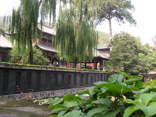 480684