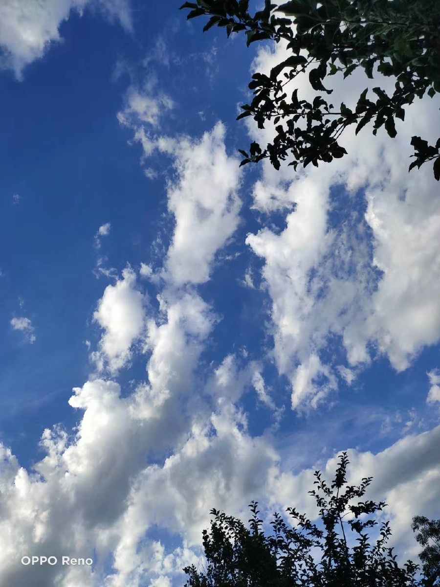 清新的空气散发着秋日的踏实