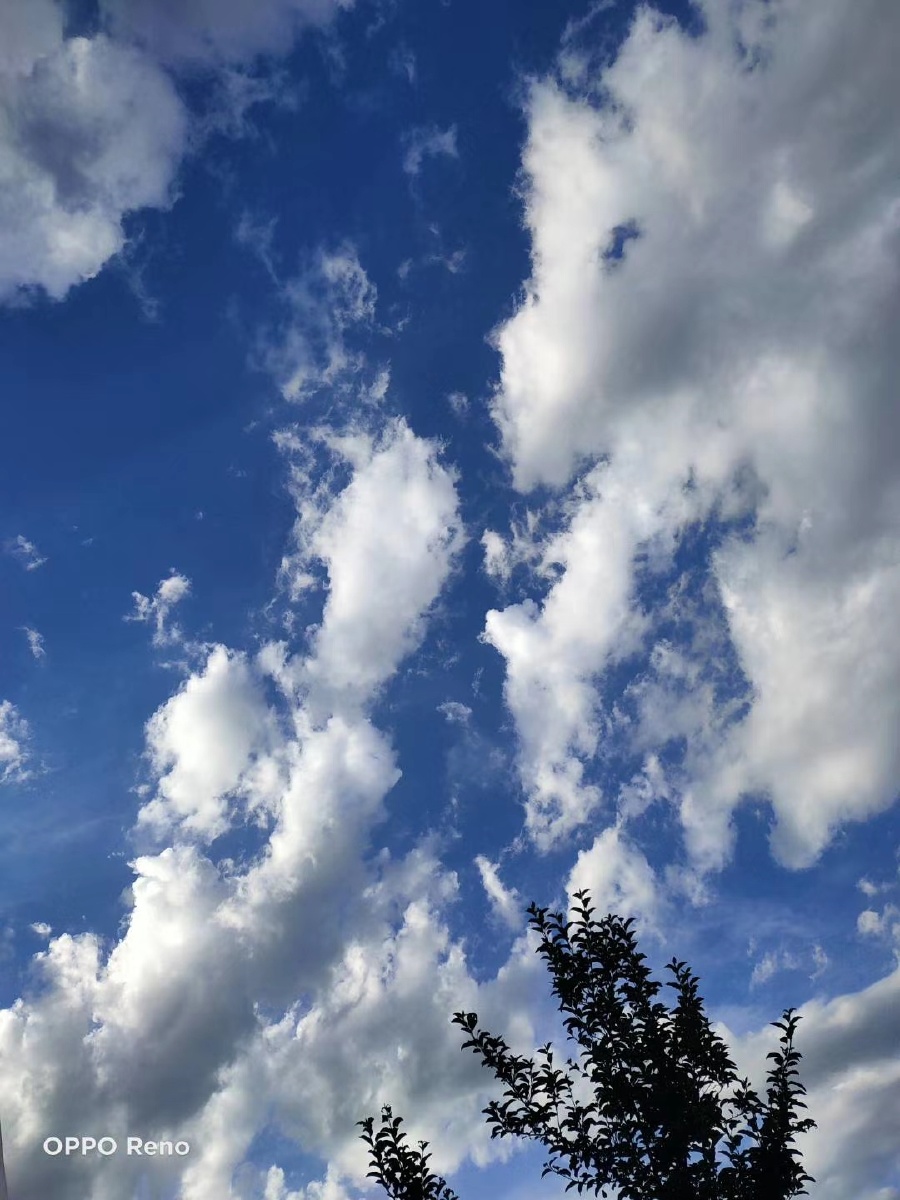 清新的空气散发着秋日的踏实