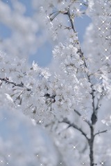 40E68693-3B11-440D-9F14-4990A6F07572/L0/001