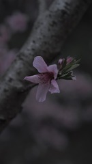 470B4DB1-17F1-4D21-9028-3EE4F8DD5841/L0/001