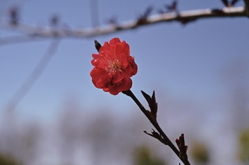 C9184DB6-B688-4C4D-BDBD-60165A1A11C7/L0/001