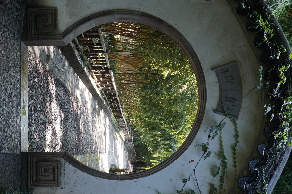 苏州园林里的月洞门61中记于苏州园林雨前初见花间蕊雨后全无叶底花