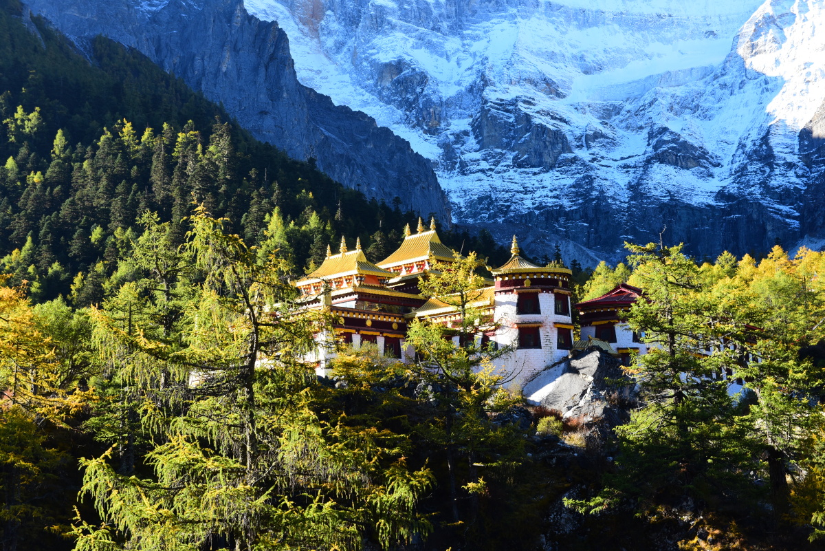 雪山寺庙森林在晨光映衬之下感觉挺好