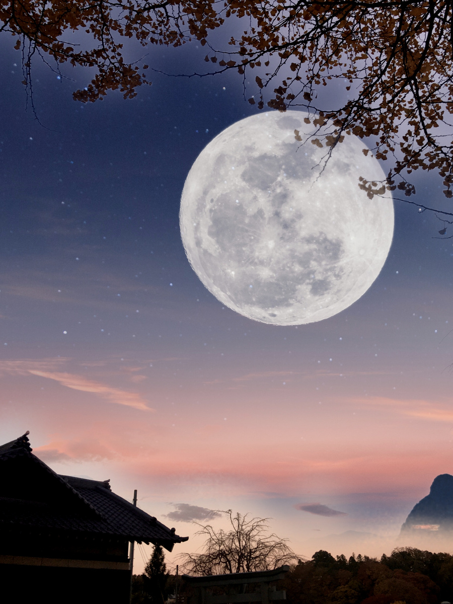 月亮高高挂枝头