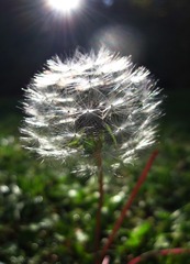 C4BB805D-F63B-4132-BF22-ECD6EAE39438/L0/001