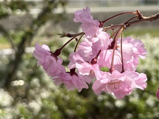 D57516FF-8107-4D2D-92A6-3E3AB052E4E0/L0/001