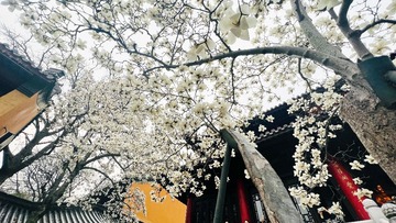 A8D72E3A-E559-4071-A7DA-E5D94B35E27D/L0/001