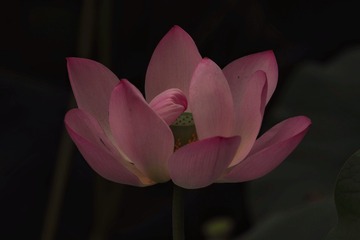 C81160A2-EE95-43BD-AB75-2A89ECDF4C04/L0/001