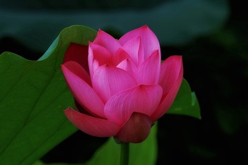 A3DB6D0D-3F9C-4A30-9F99-4A549519E927/L0/001