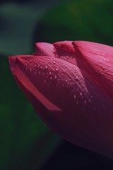 D60B52D6-DB01-4D74-A810-A7CE9BD00B7A/L0/001