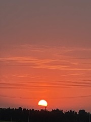 CE223EFF-8516-4056-9D46-3E75903D920E/L0/001