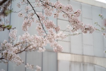B5395D36-E6E8-45E3-B8AA-8172E1CB1BB9/L0/001