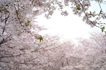 FAE80E2D-75ED-4C1F-A9F2-244089EDB6C9/L0/001