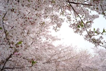 F4F544FA-58B3-4904-AE87-1B4CCE8EF2BD/L0/001