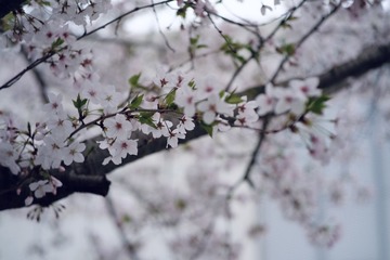 7C667A3C-E3E2-4174-AB37-B83390E0C901/L0/001