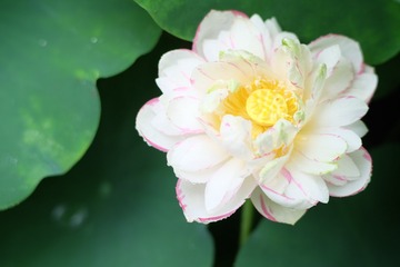 479BB061-B939-4DC8-A2E5-356C635CA8A8/L0/001
