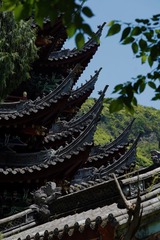 8308D248-61C5-424C-B81A-0C2210F8CEC7/L0/001