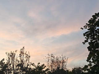 1000020660