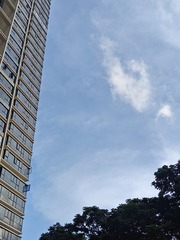 1000019672