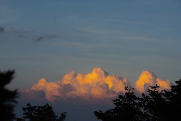 31927E6A-4D8E-4A36-AD9A-A83E7957B016/L0/001