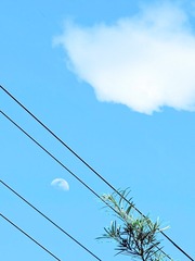 D60DAE62-0FD7-46AF-B493-4FDF0232E0BE/L0/001
