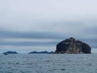C7432458-BA73-4DD7-B198-FB80D3450836/L0/001