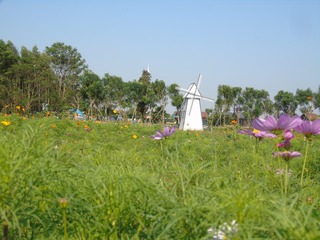 2007