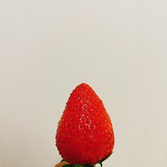 5D6373B0-86ED-4028-981C-05257FCBD757/L0/001
