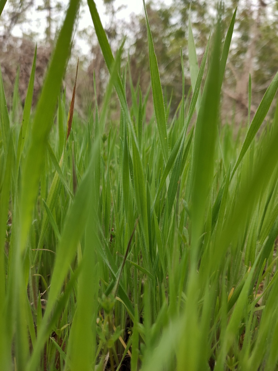 海纳百川9919 - 图虫