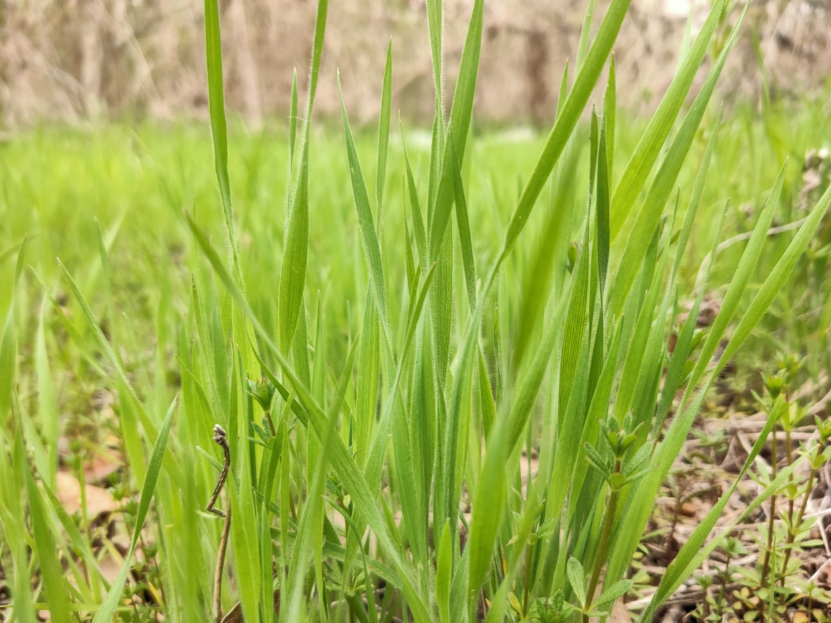 海纳百川9919 - 图虫