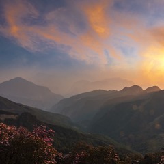 9466