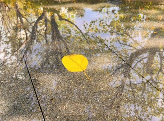 E3303253-39EA-4A3D-B410-F5482105ED9F/L0/001