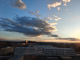 1000212982