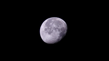 9CA116B9-091C-42E0-AC25-3C650541ED6C/L0/001
