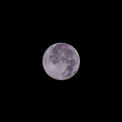 C986D590-0C9E-4469-BF04-43956E38D69E/L0/001
