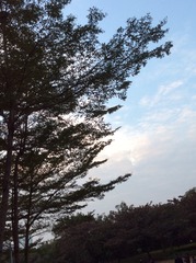 07DDA800-D257-4C9A-BFEA-72C5594504BD/L0/001