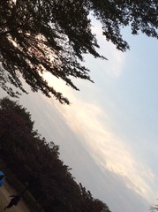 2B4B4A3F-C9A4-4808-826D-EEB1FFB073EB/L0/001