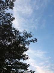 7C38D62D-BEA9-491D-92DC-5AC57473922D/L0/001