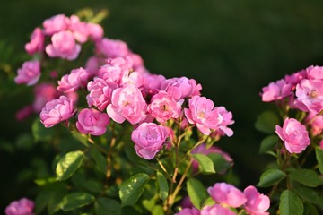 6822008A-DCB4-4EEC-ABD0-D78C43E08DB9/L0/001