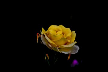 3AD81B90-93EA-4FDE-ADE9-E6631E2EC1D6/L0/001