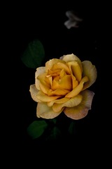 662D4887-B5DD-4AA5-8E49-E829813217A9/L0/001