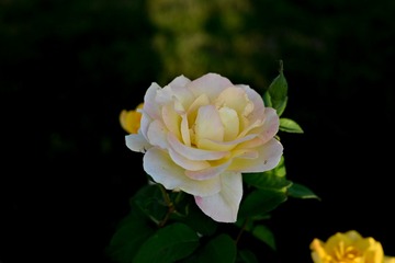 9F8AA86C-8610-4809-9B87-74F95D4CDCB5/L0/001