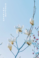 D0CB3B9D-F7F2-4C23-A10C-CF8B540A69FC/L0/001