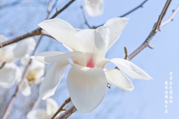 D9DB5A32-F0CB-455E-BD9B-B53C40372D47/L0/001