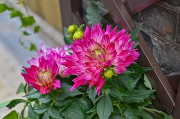 35F6B9BD-8727-4258-AB7C-178FDBDB75CC/L0/001