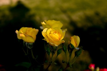 2F91E79E-E26D-44CE-B34F-D03F470B626A/L0/001